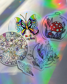 Rainbow Window Decal Bundle - Baltic Mermaid