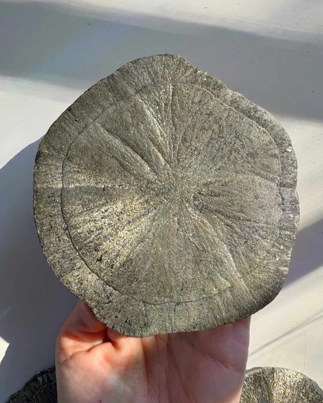 Pyrite Sun - Baltic Mermaid