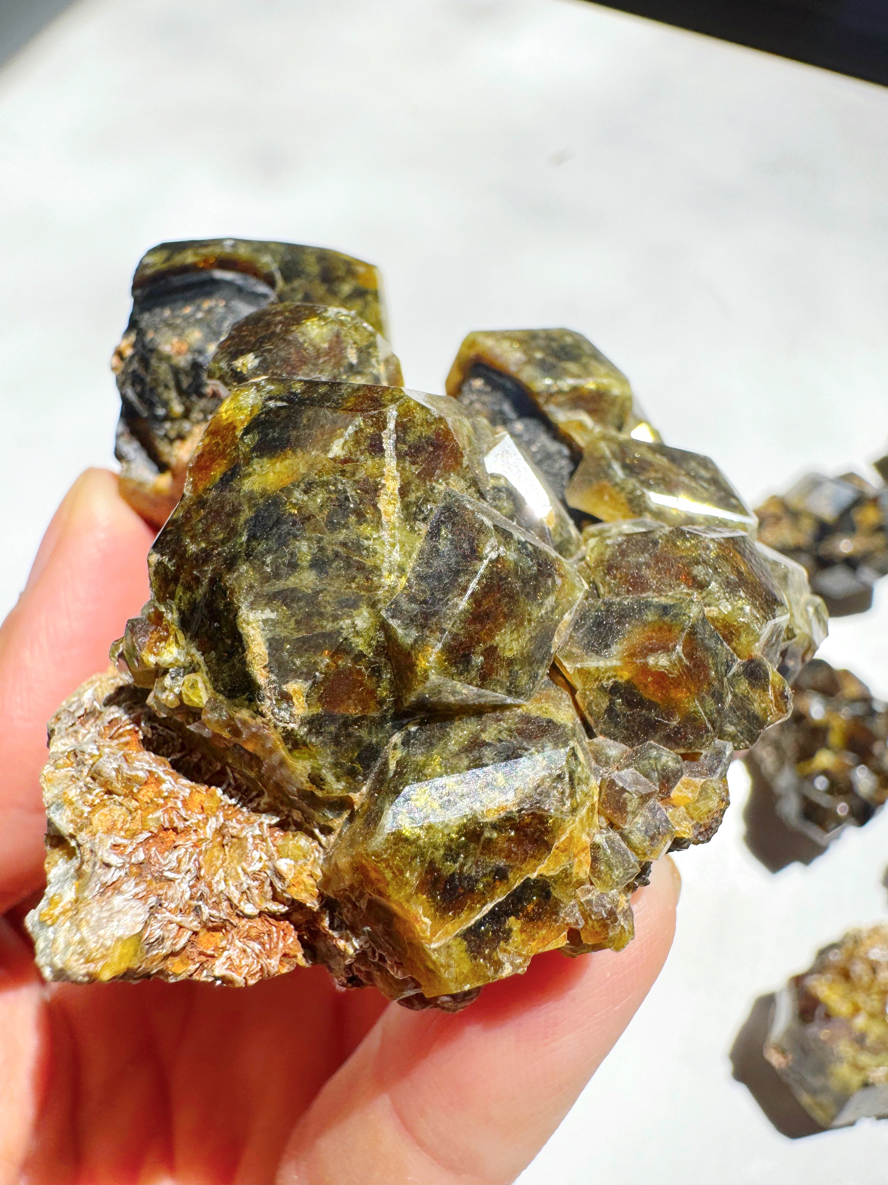Rare Mali Green Grossular Andradite Garnet w/ Clinochlore AAA Quality Baltic Mermaid