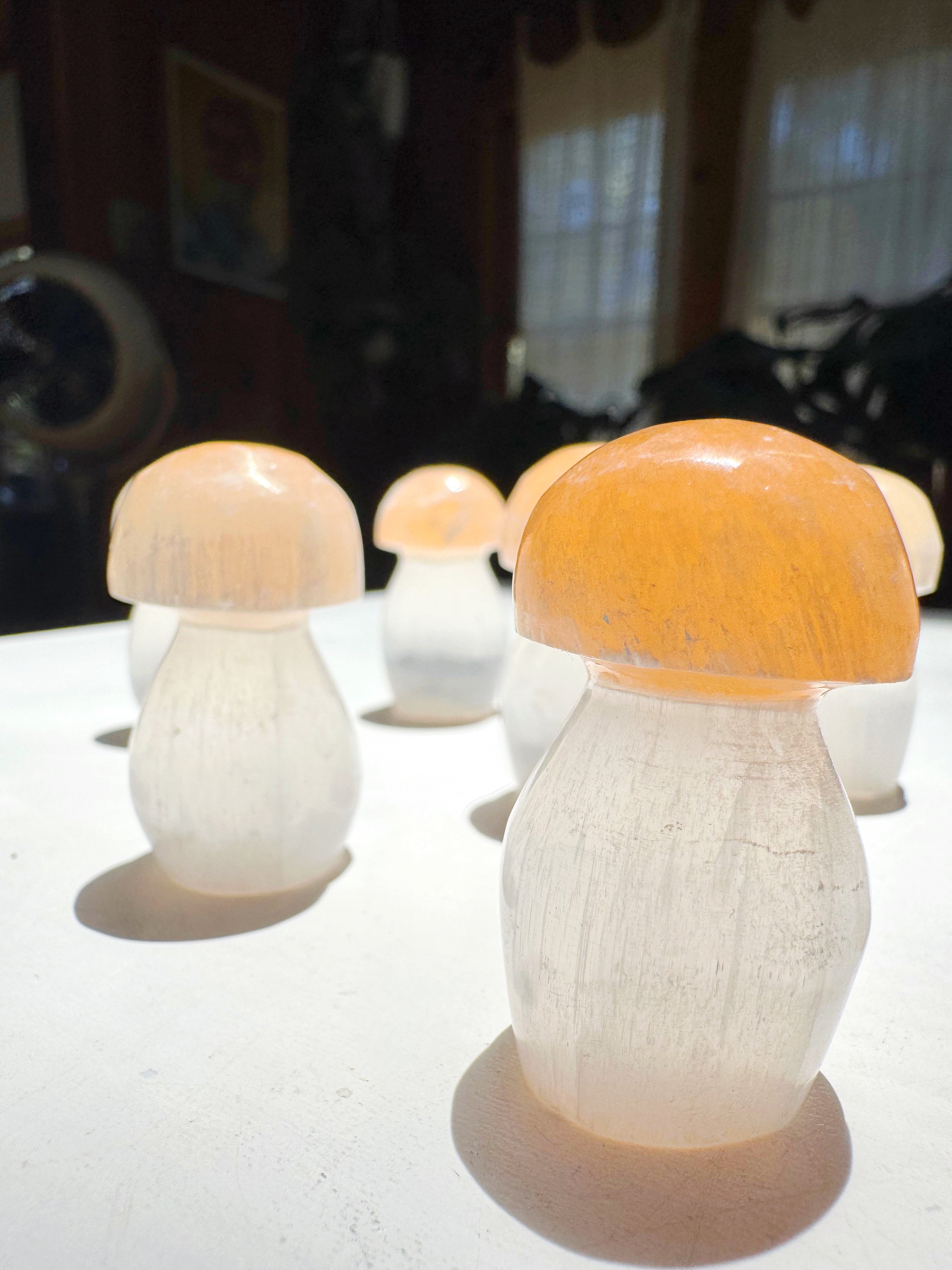 Lil’ Selenite Mushrooms Baltic Mermaid
