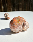 Cantera Opal Skull - Baltic Mermaid