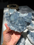 Celestite Cluster Baltic Mermaid