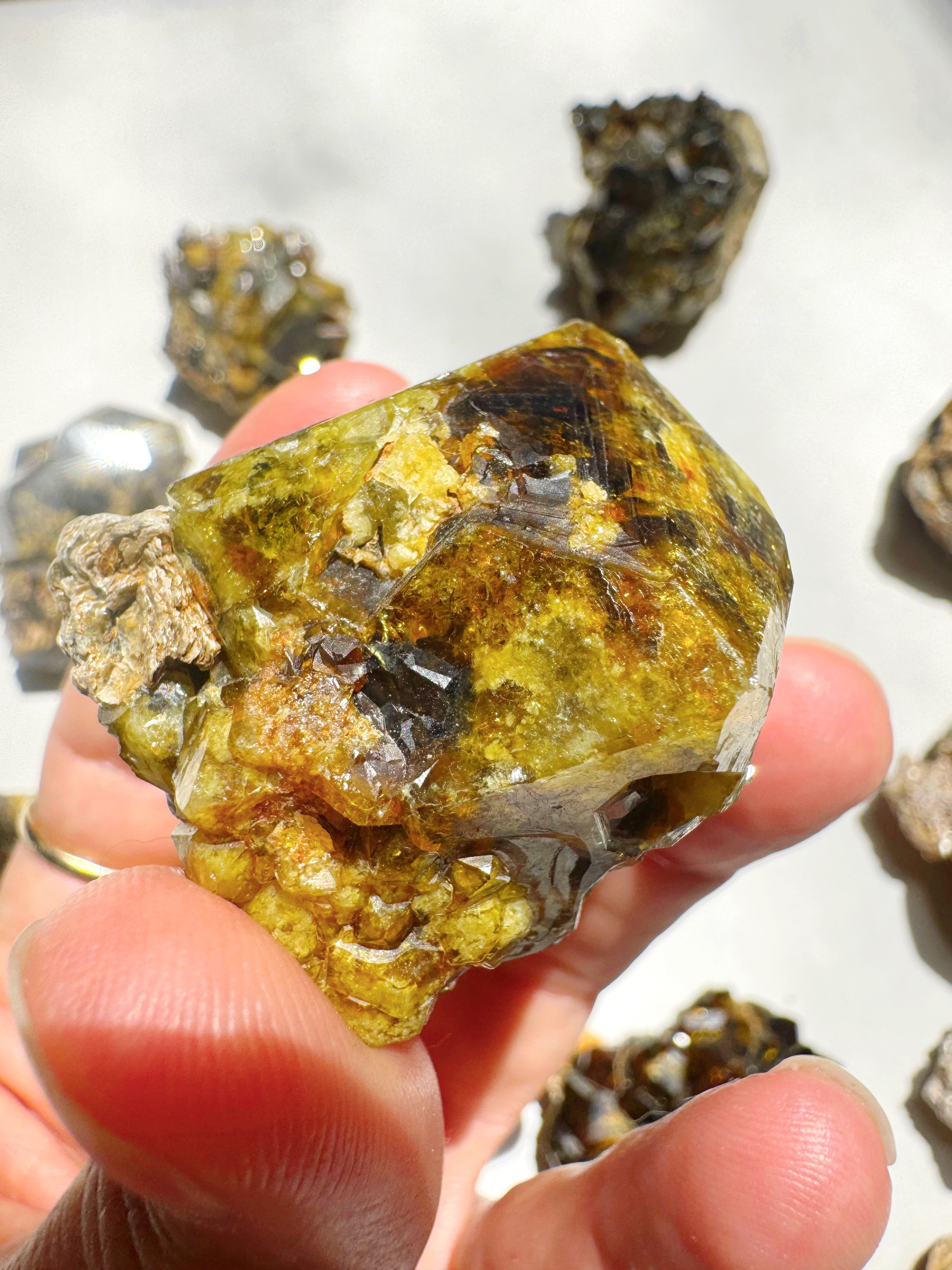Rare Mali Green Grossular Andradite Garnet w/ Clinochlore AAA Quality Baltic Mermaid