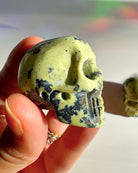 Serpentine Skull - Baltic Mermaid