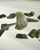 Chlum Moldavite w/ Rainbow #5 - AA - Baltic Mermaid