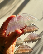 Fluorite Bats - Baltic Mermaid