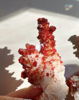 Vanadinite on Barite from Morocco