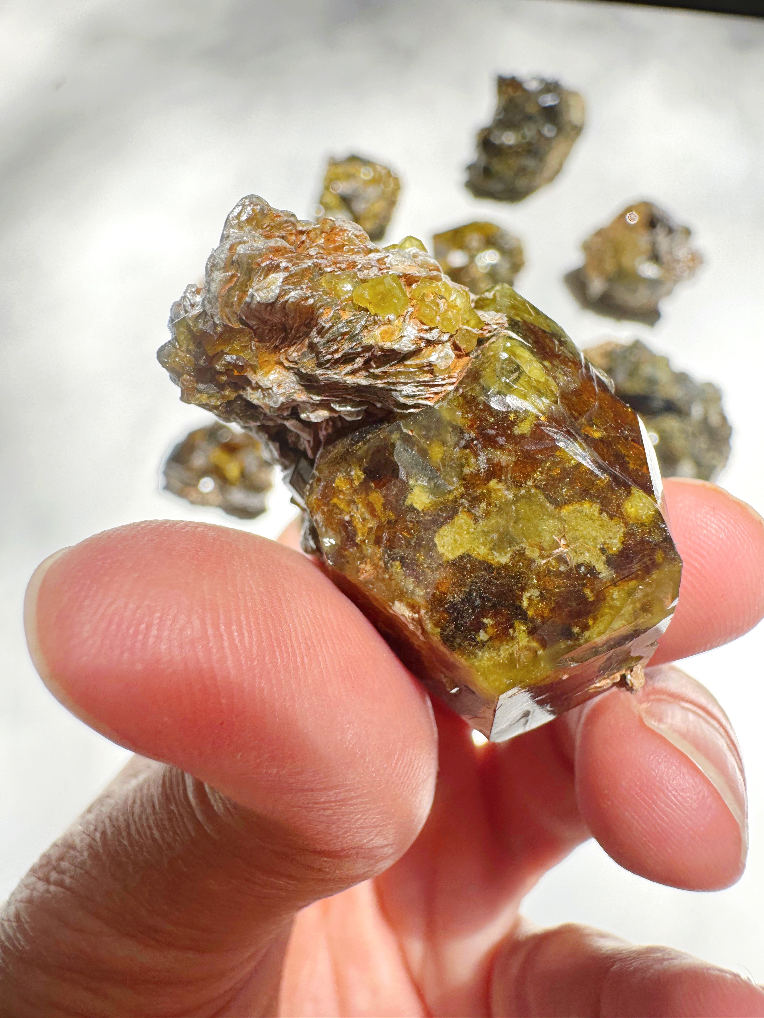 Rare Mali Green Grossular Andradite Garnet w/ Clinochlore AAA Quality Baltic Mermaid