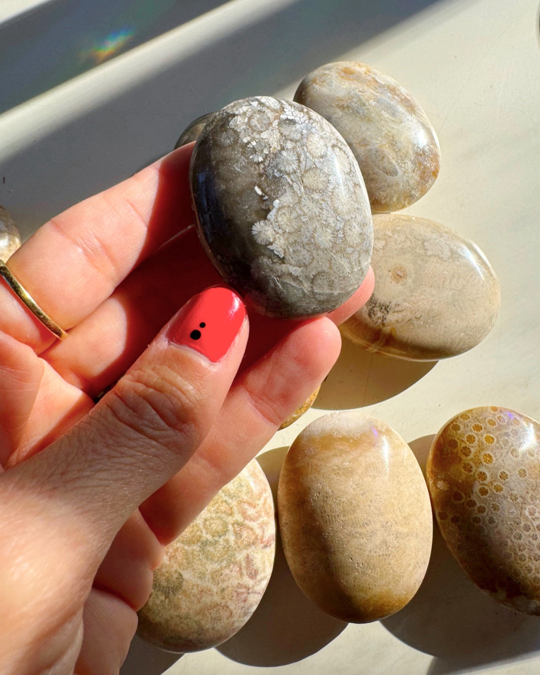 Fossil Coral Agate Palm Stones