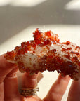 Vanadinite on Barite from Morocco