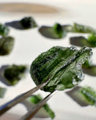 Chlum Moldavite  #1 - AA - Baltic Mermaid