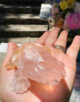 Hand Carved Rose Quartz Frog