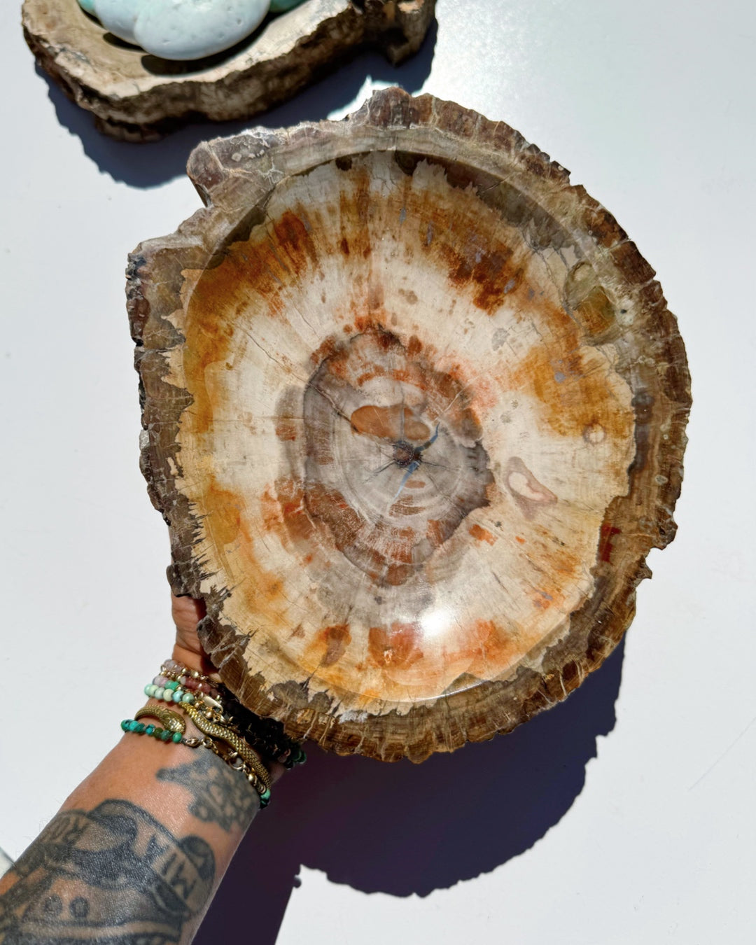 Petrified Wood Bowl