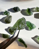 Chlum Moldavite  #2 - AA - Baltic Mermaid