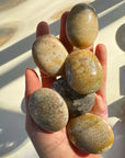 Fossil Coral Agate Palm Stones