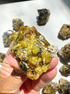 Rare Mali Green Grossular Andradite Garnet w/ Clinochlore AAA Quality Baltic Mermaid