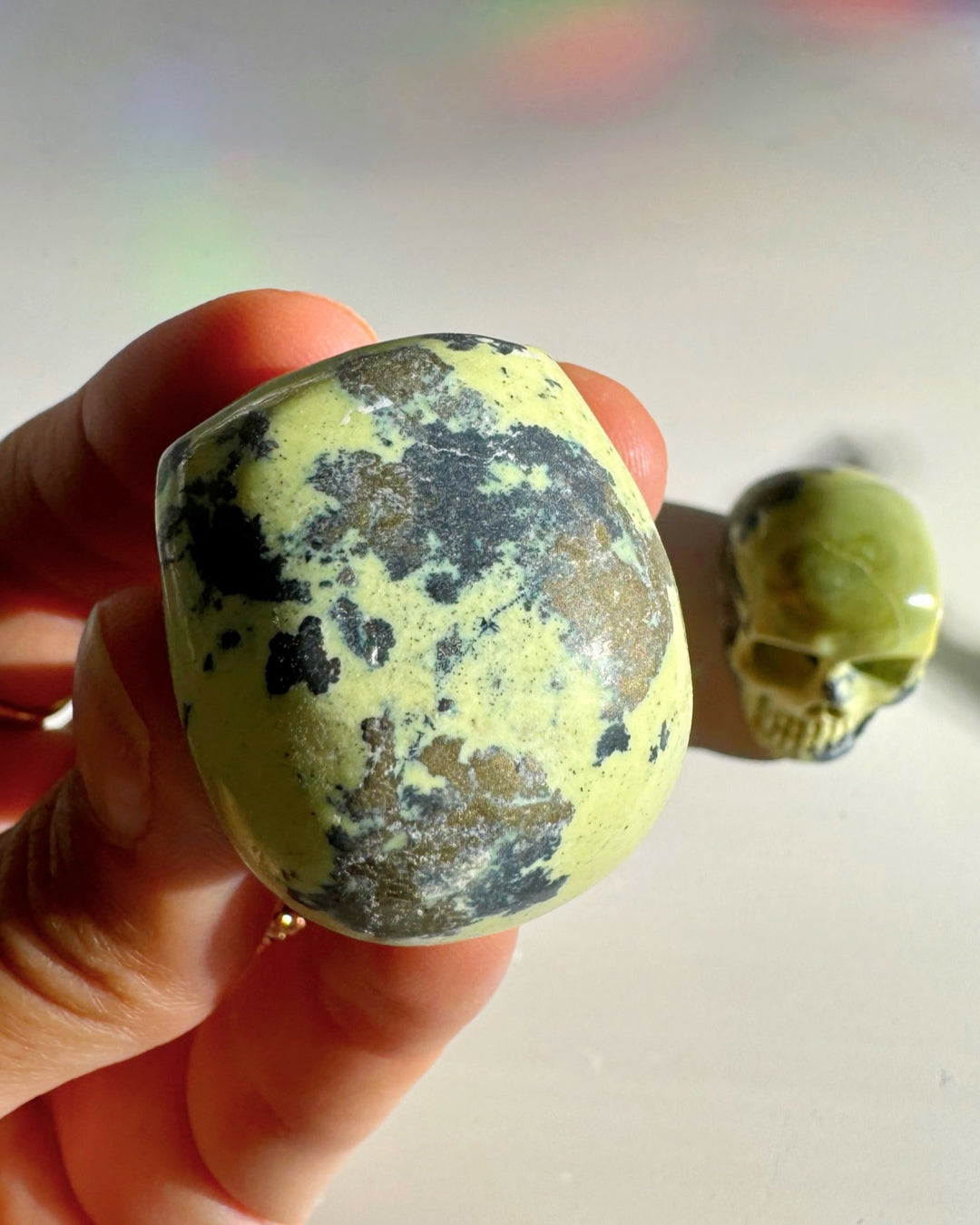 Serpentine Skull - Baltic Mermaid