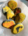 Bumblebee Jasper Palm Stones