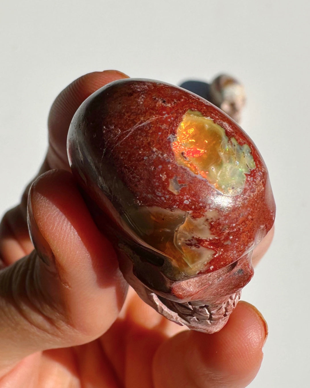 Cantera Opal Skull - Baltic Mermaid