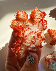 Vanadinite on Barite from Morocco