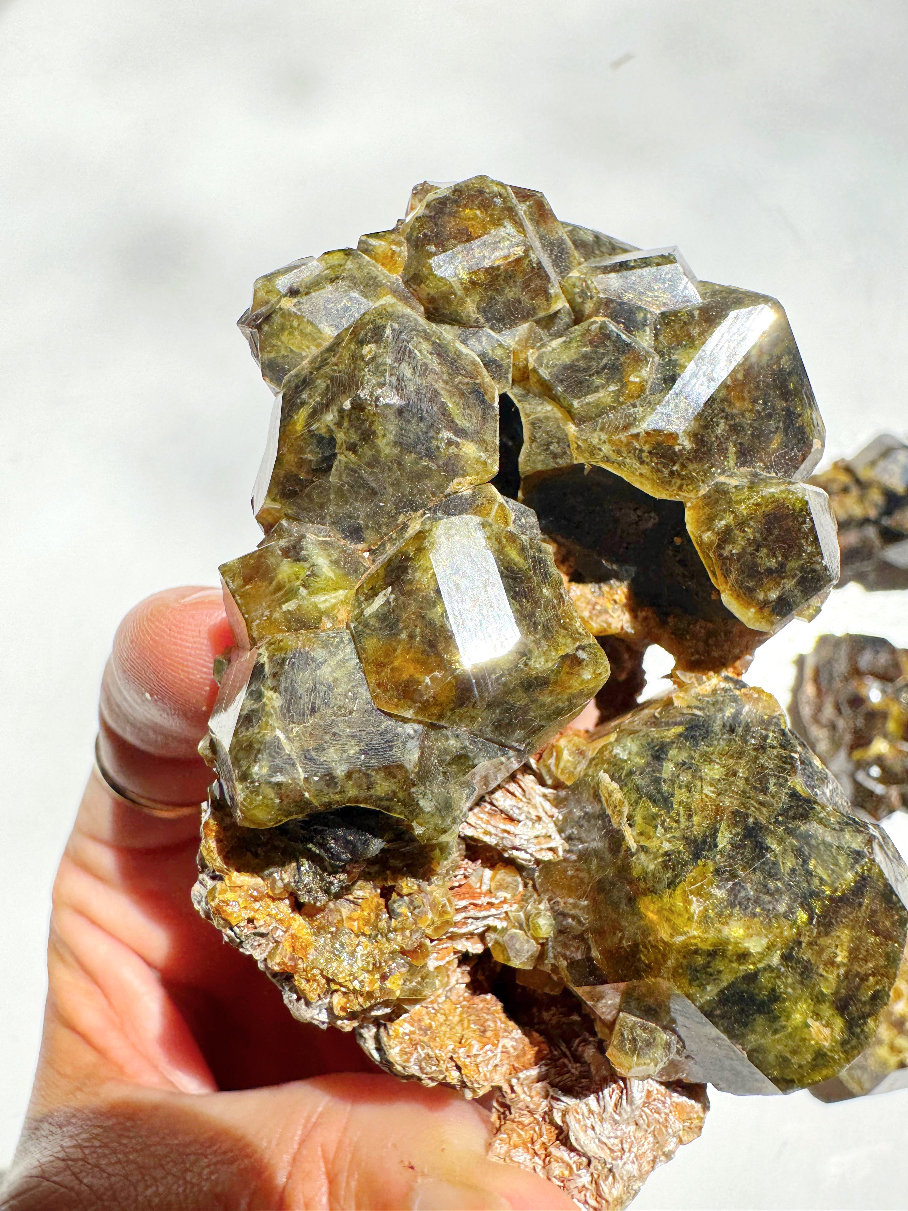 Rare Mali Green Grossular Andradite Garnet w/ Clinochlore AAA Quality Baltic Mermaid