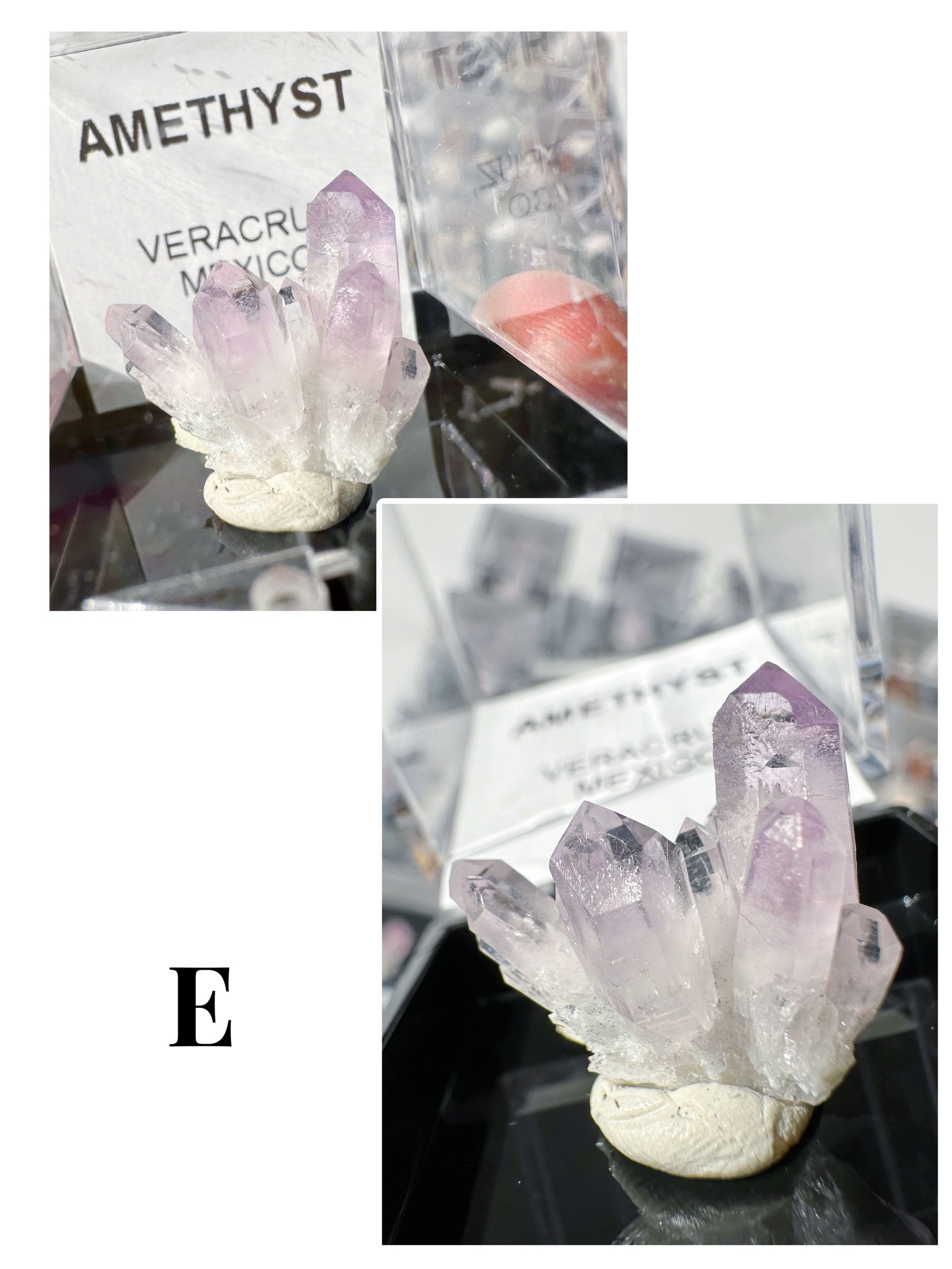 Veracruz Amethyst Thumbnails in Perky Box