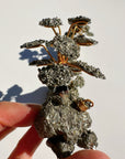 Pyrite Abundance Tree