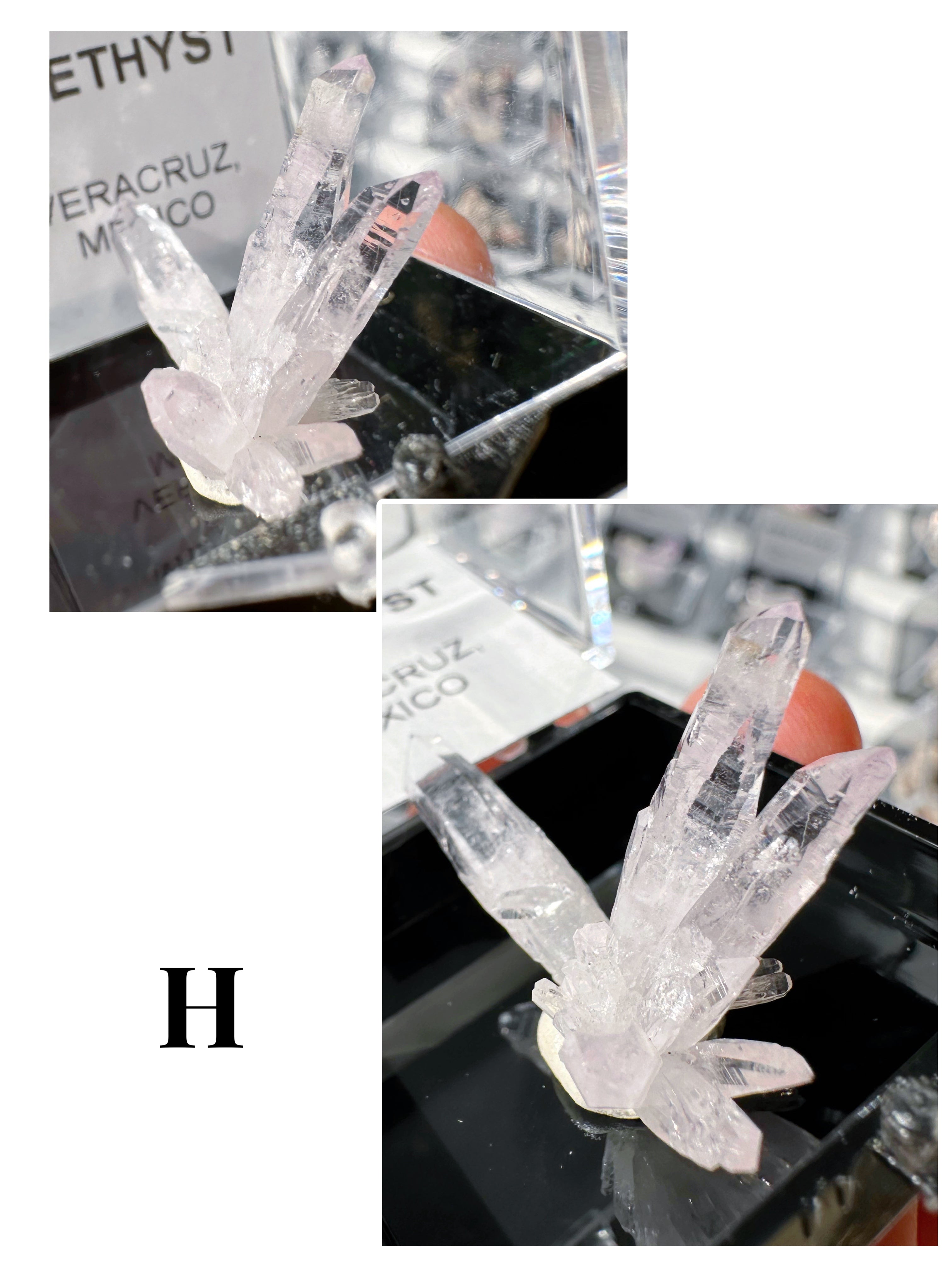 Veracruz Amethyst Thumbnails in Perky Box - Baltic Mermaid