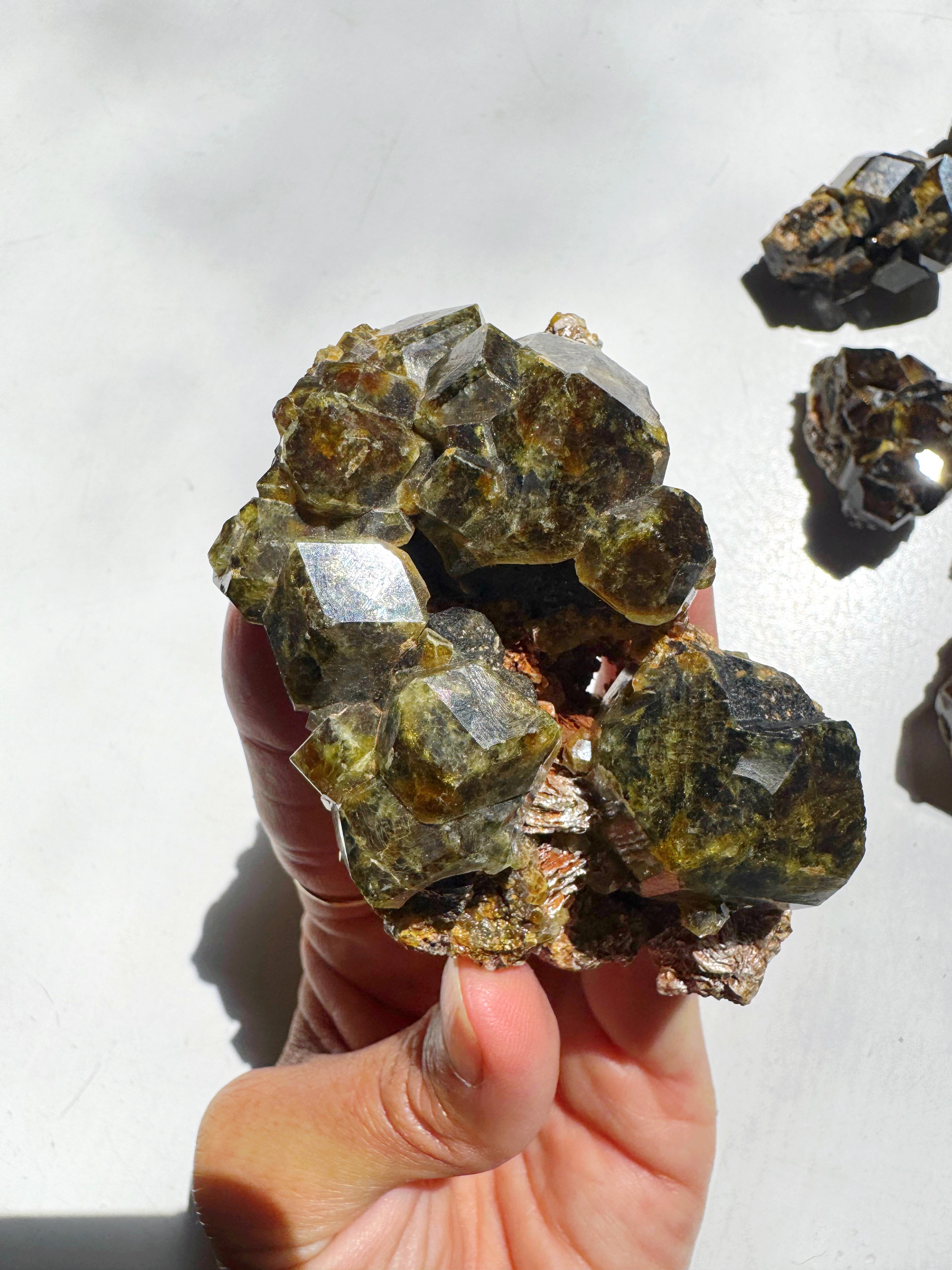 Rare Mali Green Grossular Andradite Garnet w/ Clinochlore AAA Quality Baltic Mermaid
