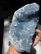 Celestite Cluster Baltic Mermaid
