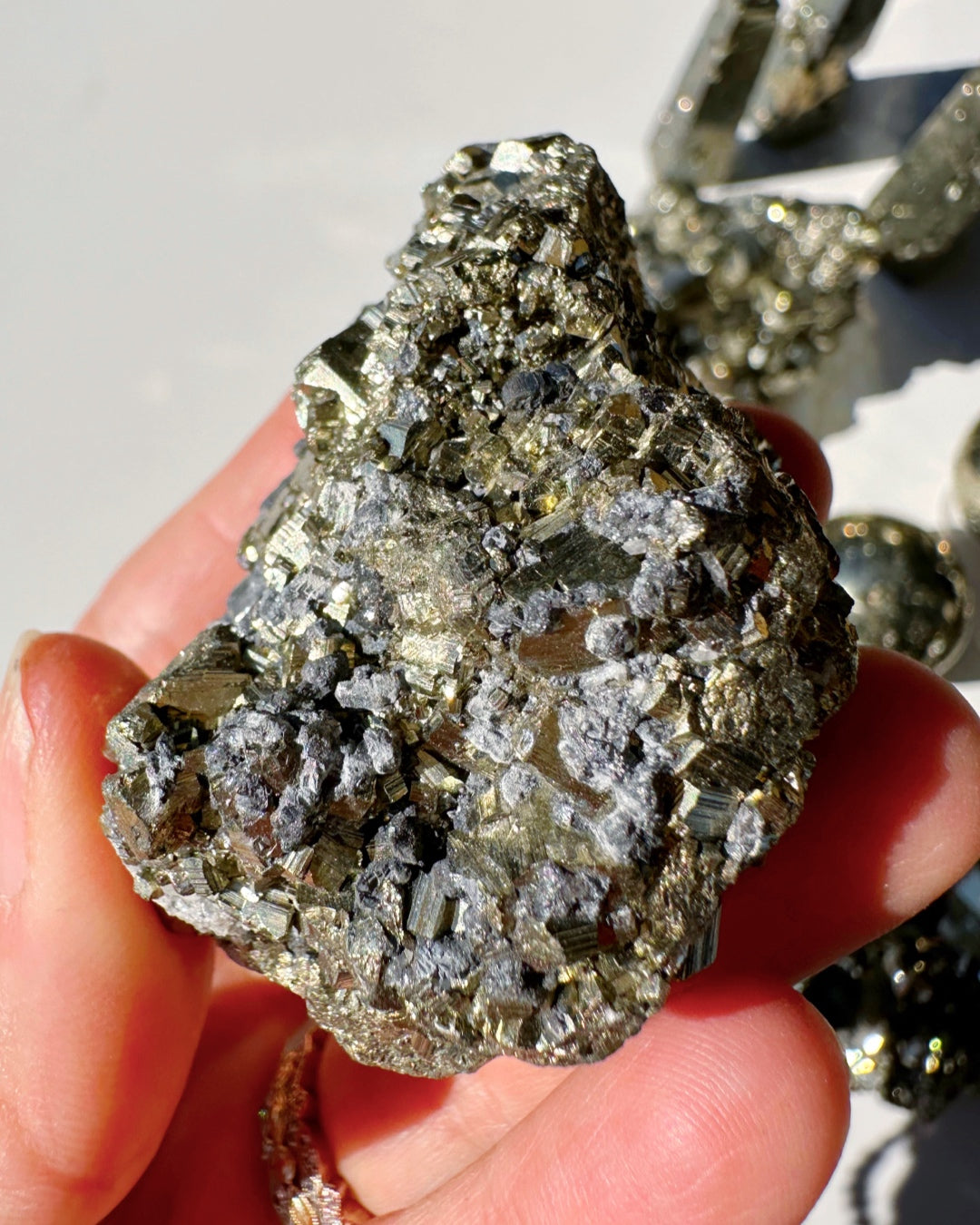 Pyrite Cluster - Baltic Mermaid