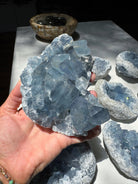 Celestite Cluster Baltic Mermaid