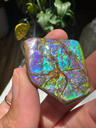 Ammolite Gemstone Hand Specimen Baltic Mermaid