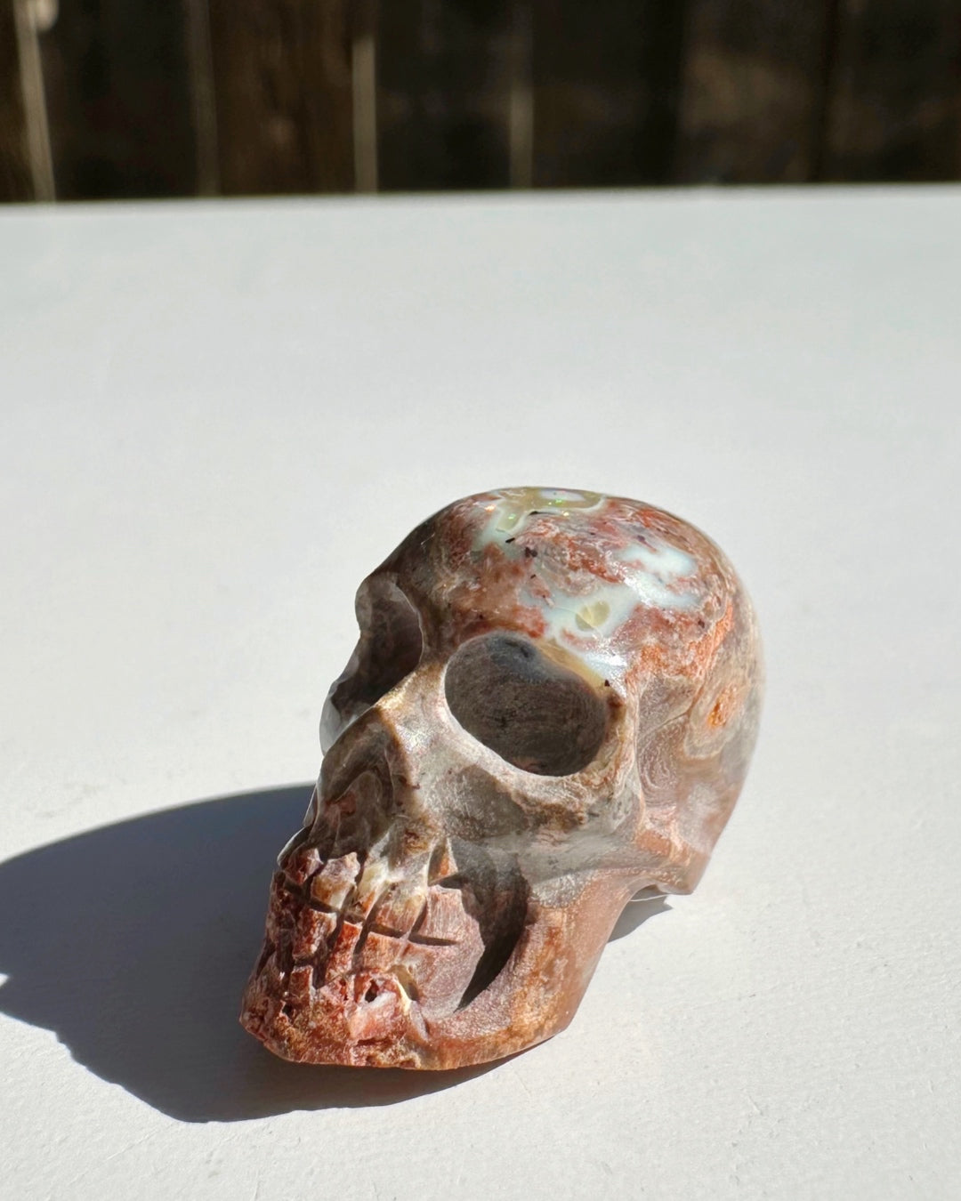 Cantera Opal Skull - Baltic Mermaid