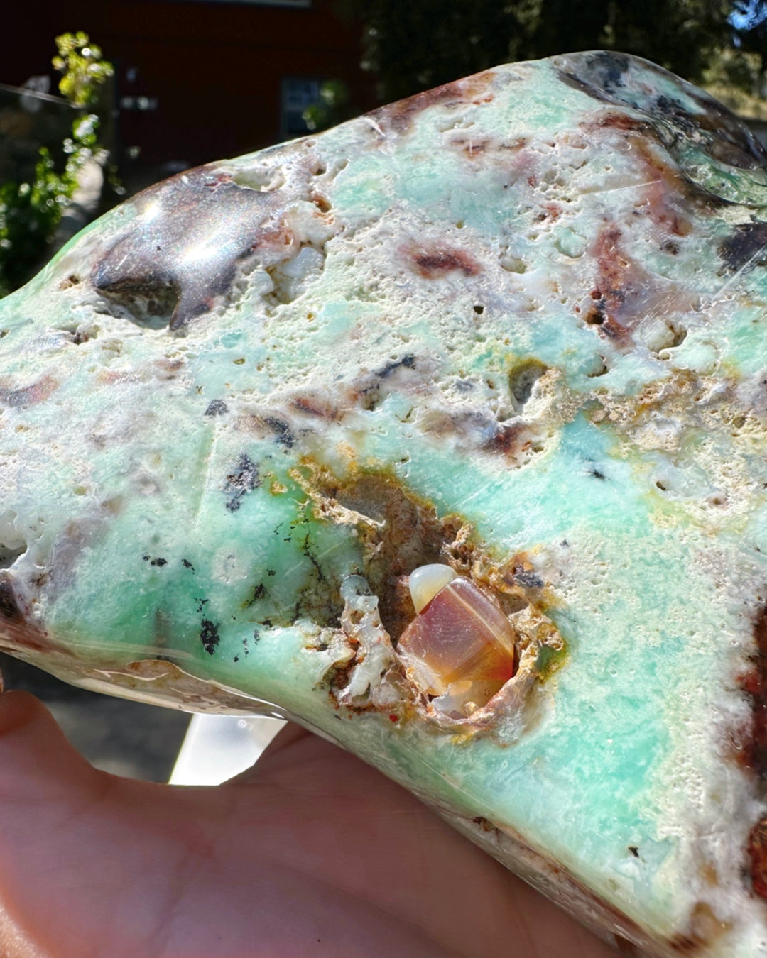 Chrysoprase Freeform - from Australian - Baltic Mermaid