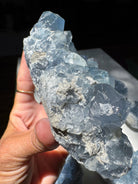 Celestite Cluster Baltic Mermaid