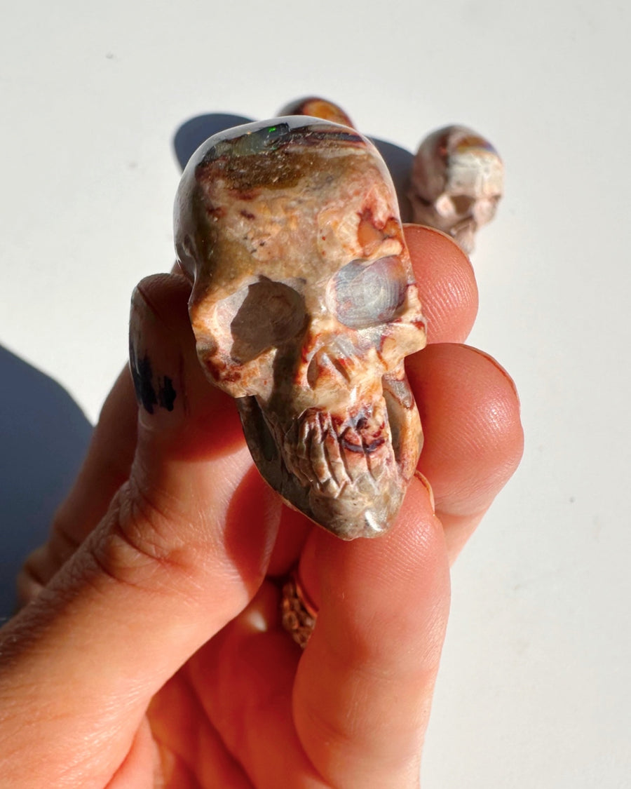 Cantera Opal Skull