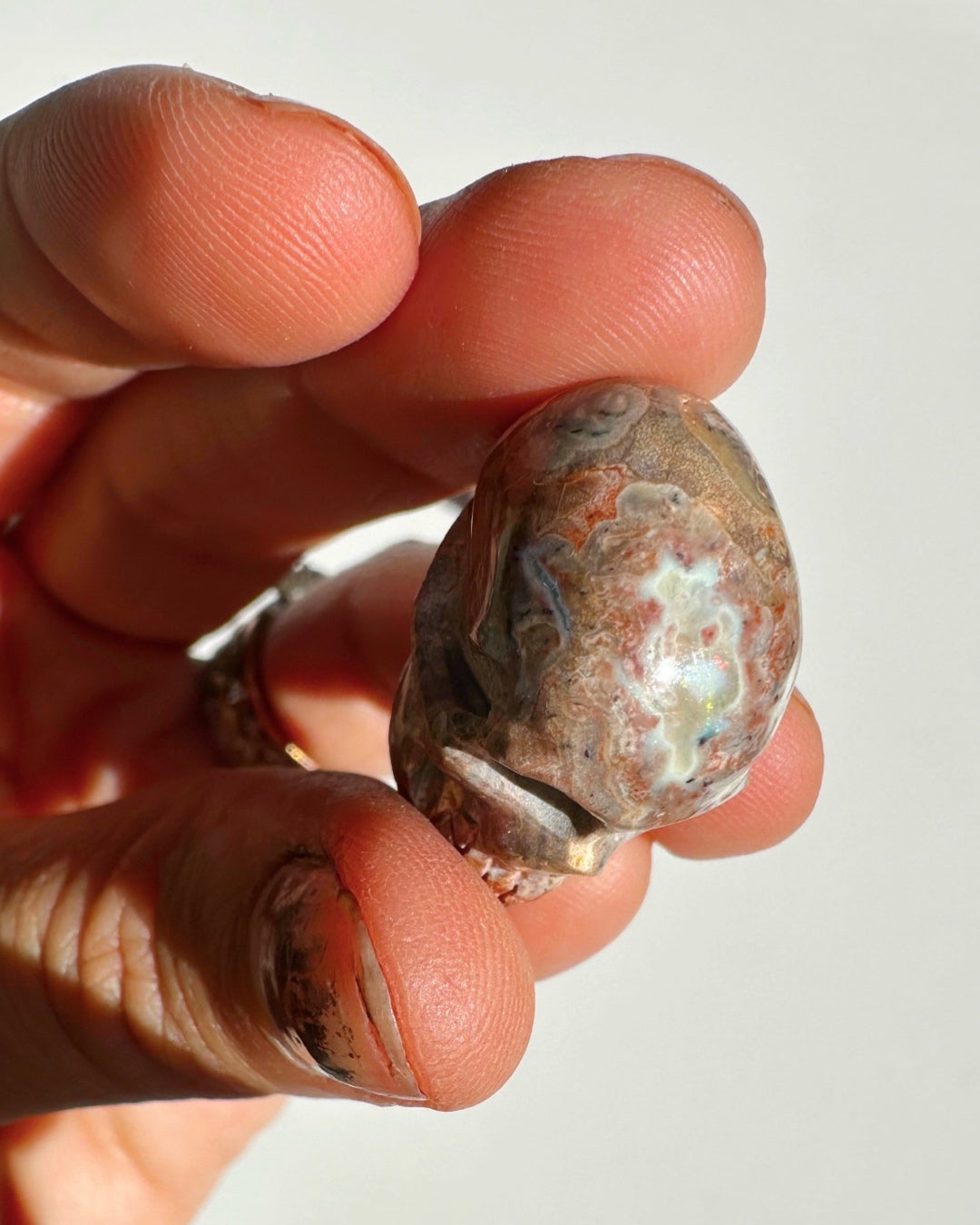 Cantera Opal Skull - Baltic Mermaid