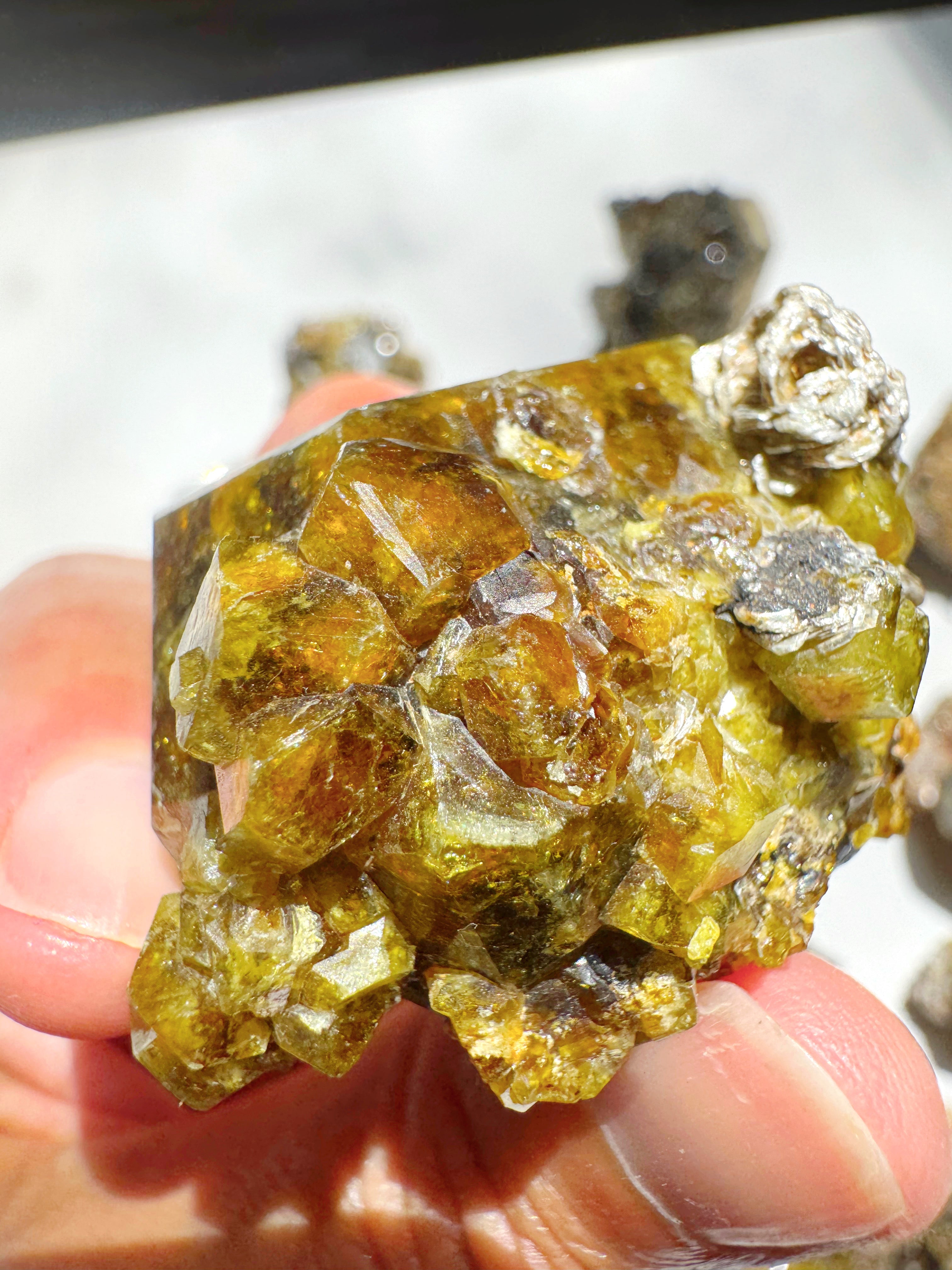 Rare Mali Green Grossular Andradite Garnet w/ Clinochlore AAA Quality Baltic Mermaid