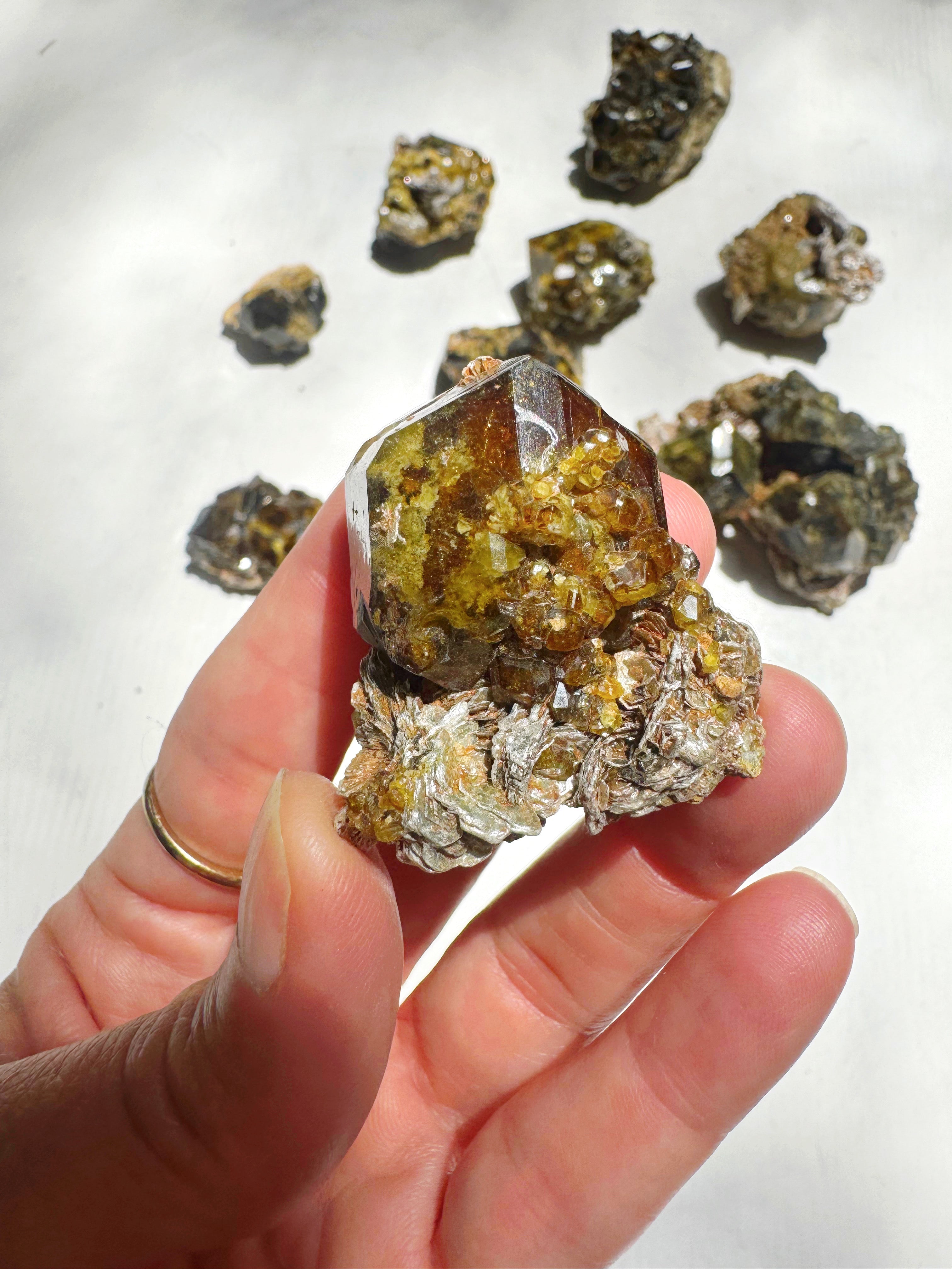 Rare Mali Green Grossular Andradite Garnet w/ Clinochlore AAA Quality Baltic Mermaid
