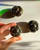 Pyrite Pumpkin - Baltic Mermaid