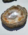 Petrified Wood Bowl