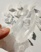 Arkansas Quartz Point B - Super Clear - Baltic Mermaid