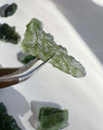 Chlum Moldavite 