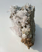 Veracruz Amethyst Cluster - Baltic Mermaid
