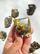 Rare Mali Green Grossular Andradite Garnet w/ Clinochlore AAA Quality Baltic Mermaid