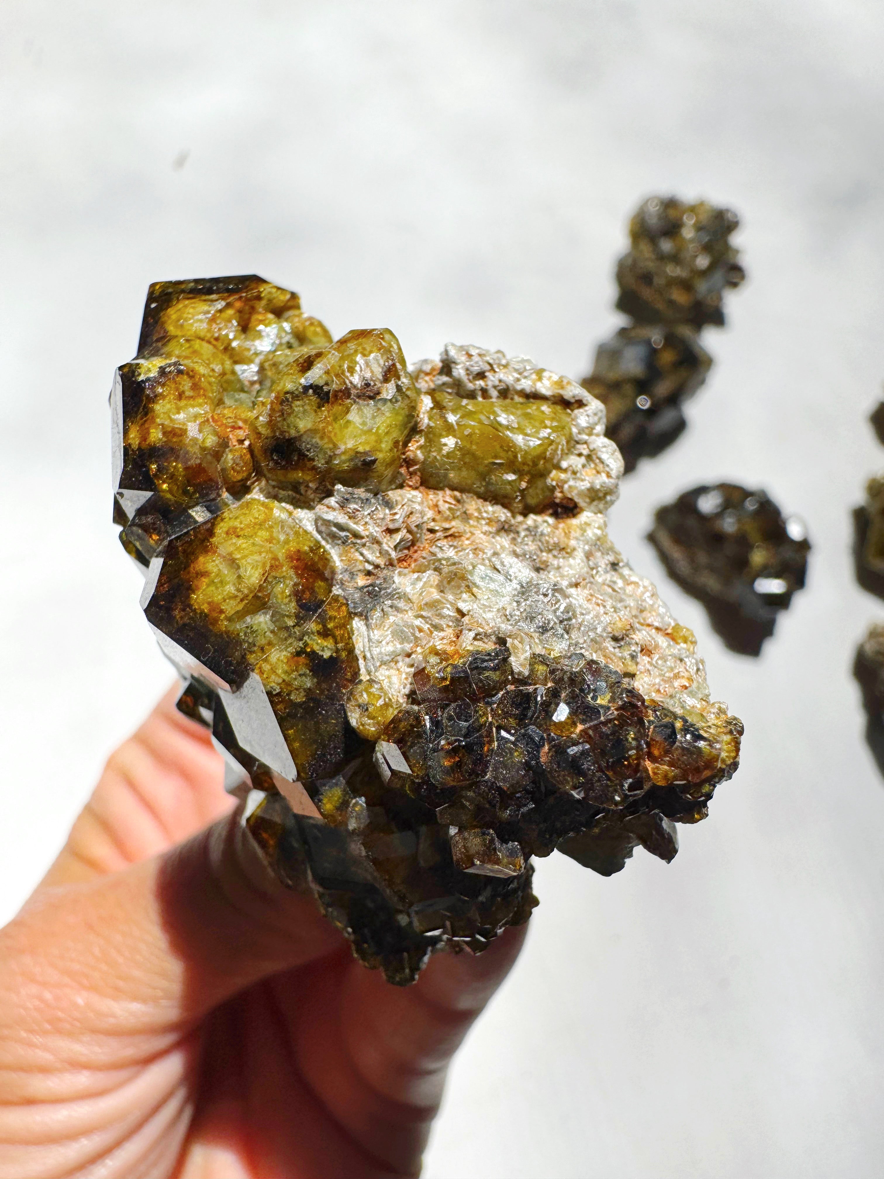 Rare Mali Green Grossular Andradite Garnet w/ Clinochlore AAA Quality Baltic Mermaid
