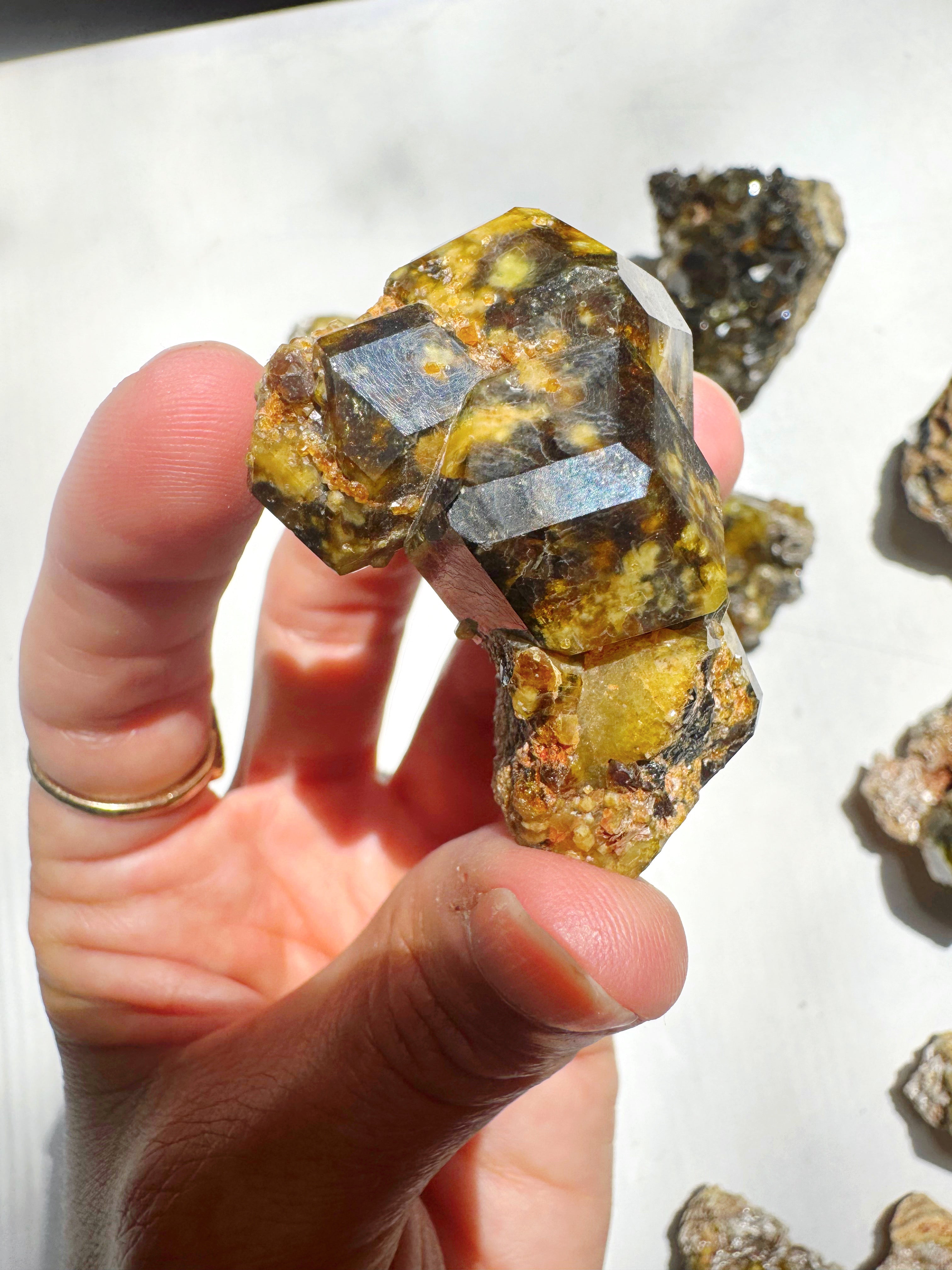 Rare Mali Green Grossular Andradite Garnet w/ Clinochlore AAA Quality Baltic Mermaid