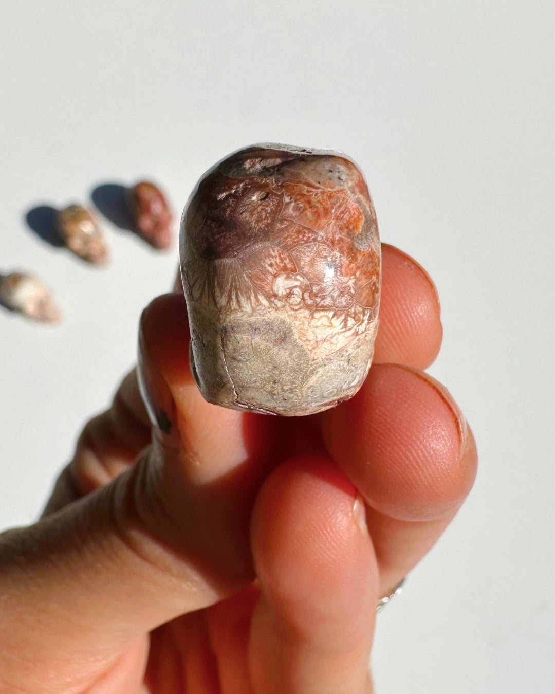 Cantera Opal Skull - Baltic Mermaid