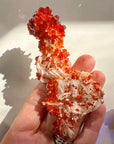 Vanadinite on Barite from Morocco